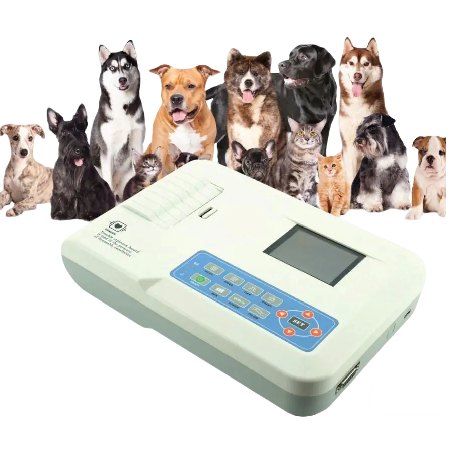 微信图片 2026 02 06 130325 720